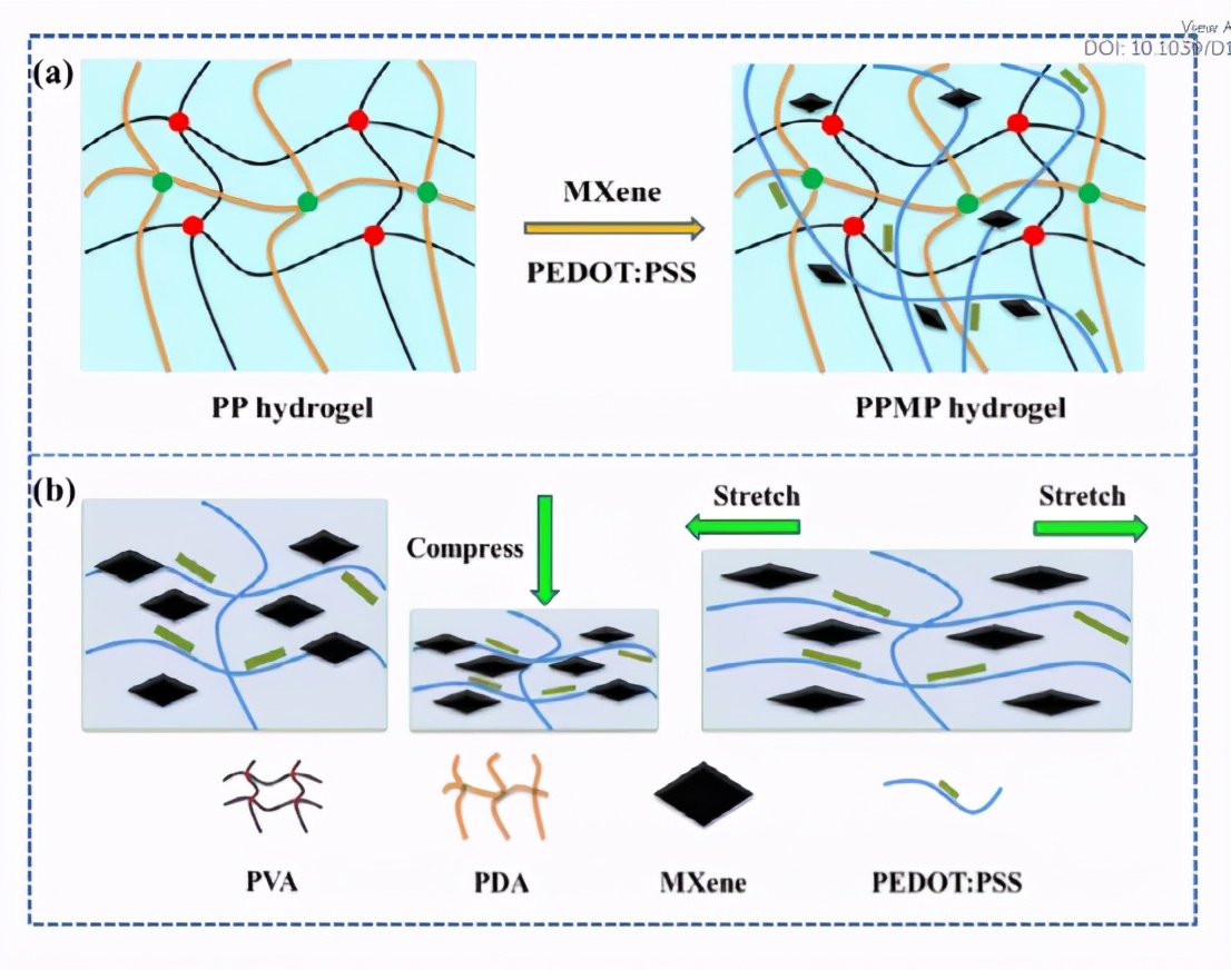 快速自愈聚乙烯醇水凝膠作為高靈敏度應變/壓力傳感器的構建塊
