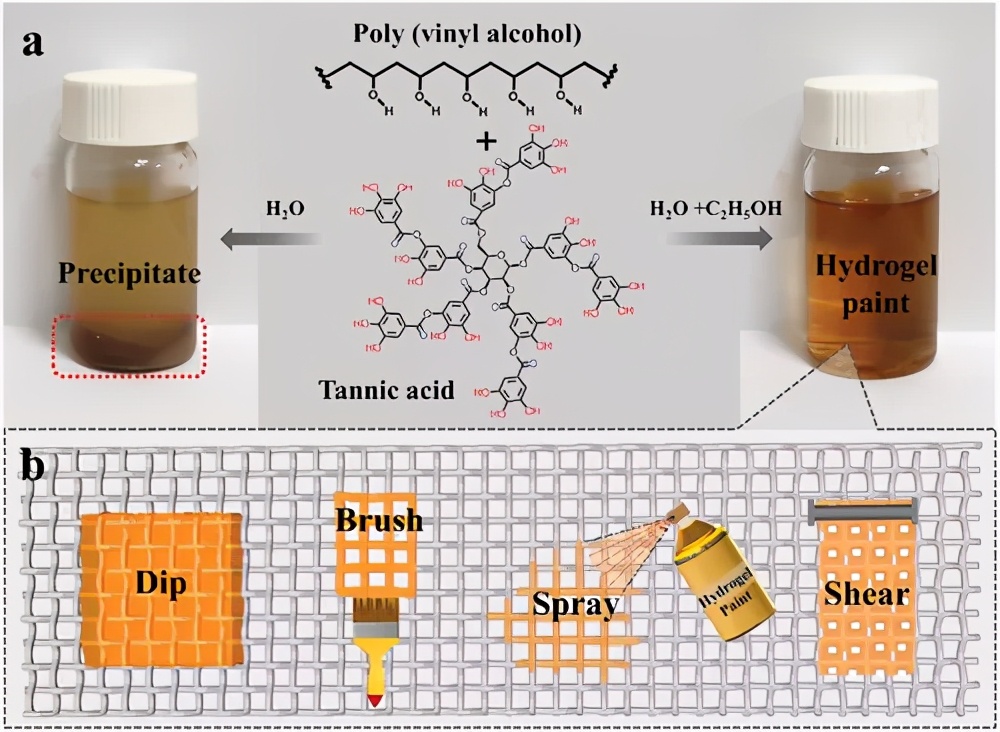 制備用于油/水分離的水凝膠涂料、一種溶劑調節的氫鍵交聯策略