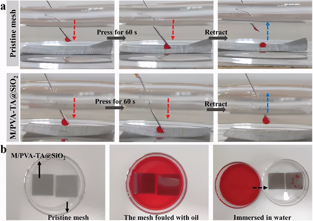 制備用于油/水分離的水凝膠涂料、一種溶劑調節的氫鍵交聯策略